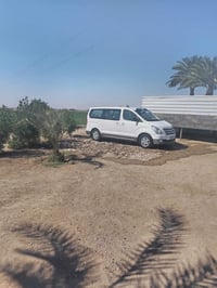 ستاركس • ٢٠١٣ • كفالة عامه