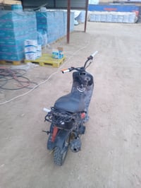 ماكس منغولي • بوشه ٥٥ • معدل مراوس