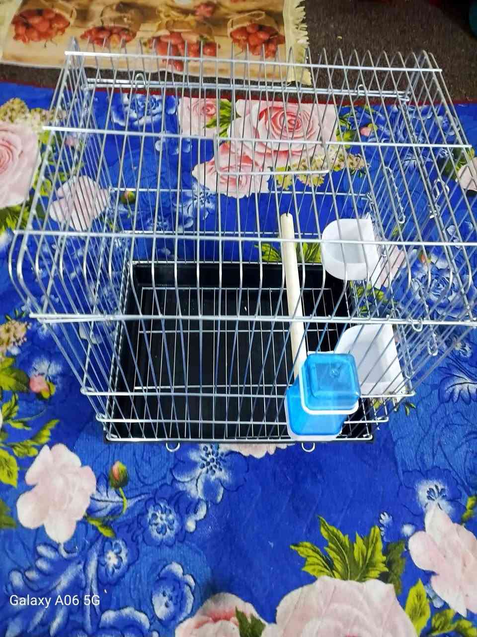 قفص جديد كامل ملحقاته مال ببغاء


**إذا كنت صاحب هذا الإعلان وتريد حذفه لأي سبب، رجاءا أرسل رسالة إلى الدعم الفني**