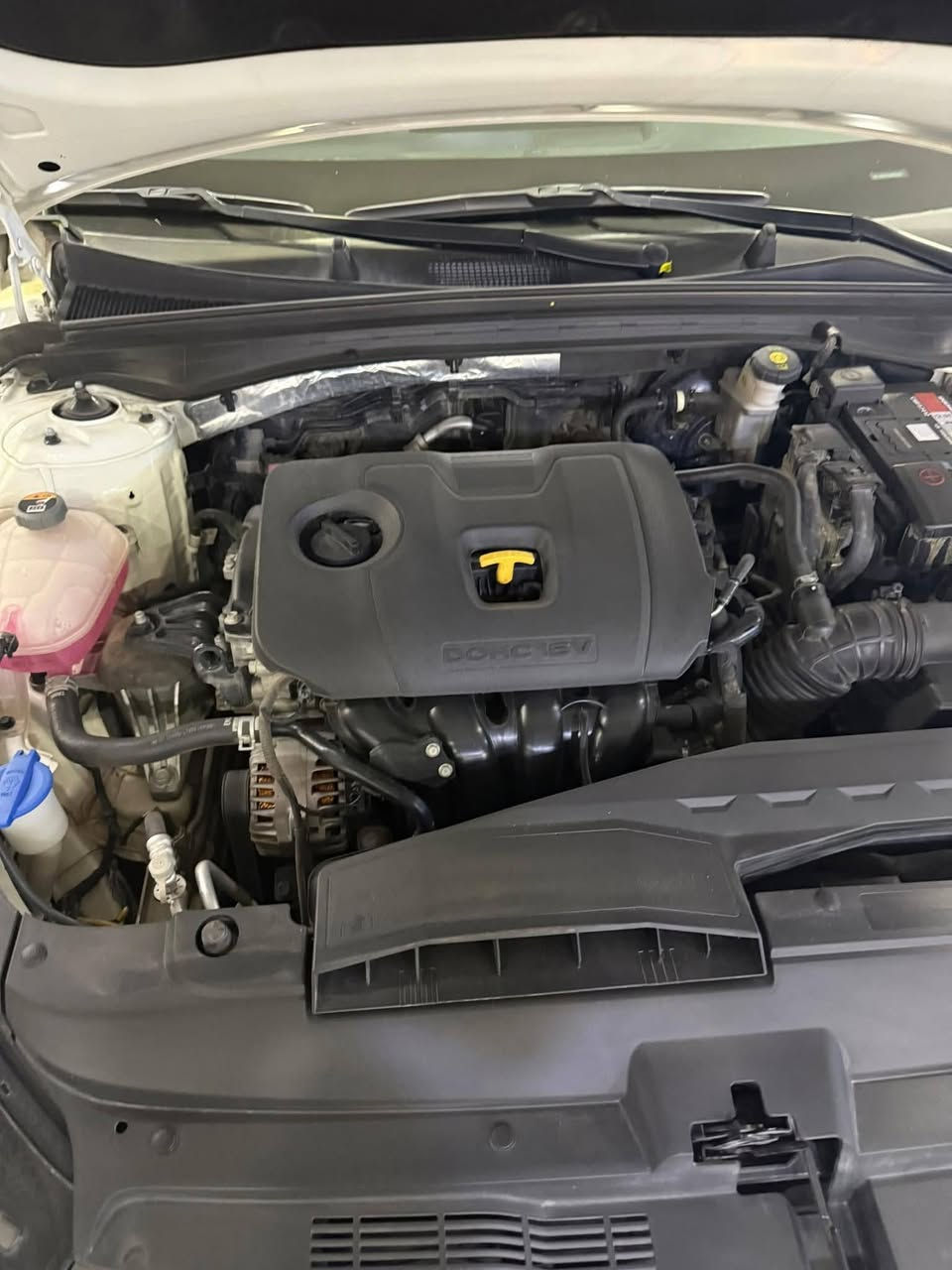 رقم اربيل الجديد
السلام عليكم للبيع 
كيا K5 2021 خليجي
فول مواصفات
بانوراما 
بصمة 
رادار
كشنات جلد
حساسات امامي خلفي
محرك 2000 دوش
وبعد المواصفات المعروفة 
بيهه بارد بقبق الصندوق رصعه صغيره وبارد بالجاملغ الخلفي كد شبر وطخه بخشم البنيد موضحه بالصور والسيارة نظيفة وحلوة 
ماشية 102 الف كم 
السعر 182  وبيهه مجال للشراي 
العنوان بغداد زيونة
***********
