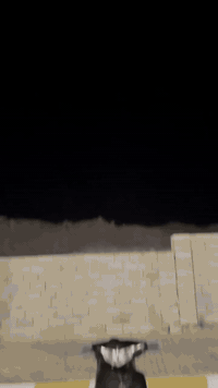 ماكس ثعلب ١٤٠ كهربائية كلهن شغاله مامفتوح المحرك نكره سلف نضيفه اي نقص مابيها سعر ٥٠٠ بيها مجال رقم ***********
