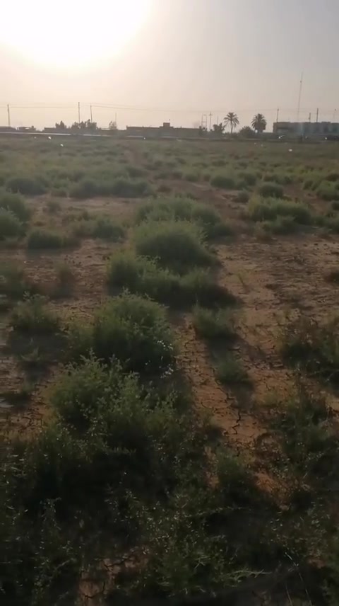مكلف نشر دونمين وجها 30  طابو زراعي سند 25 تجاري عل شارع العام مقابيل مركز سويد مباشرتن كهرباء +ماء مستوصف +مدرسه مسافه 50متر عليهن  جاهزه لسكن الستفسار عل رقم 📱 *********** السعر 550قابل التفاوض رجأ اقره المنشور قبل لتخابر
