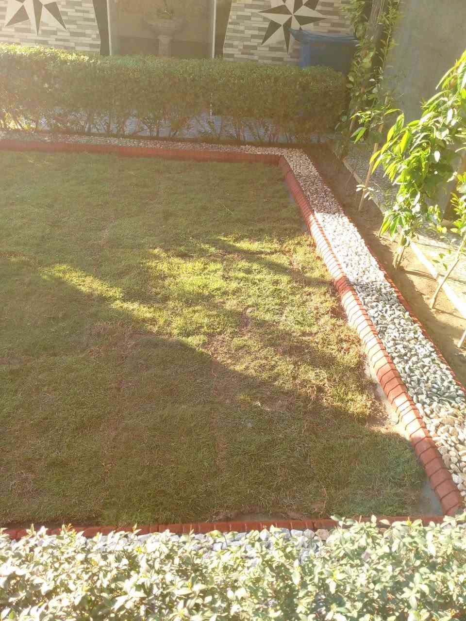 عمل ديكورات حدائق باسعار مناسبه استفسار على رقم أوعلى خاص ***********
