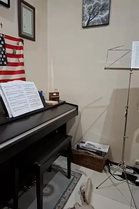 السلام علیکم 
بیانو الجلیل