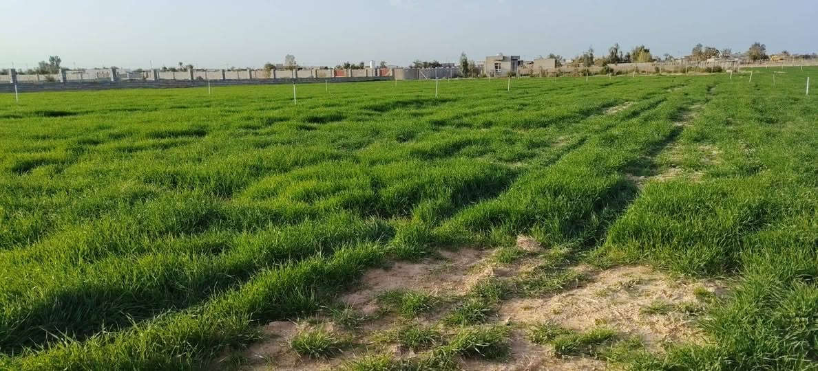 دوانم للبيع🏠في حي الطيوب 
 مخدومات ماء وكهرباء  قرب الشارع العام و على شارع مدرسة ضرار ابن الزور.
للاستفسار يرجي الاتصال على الرقم المكتب الخاص *********** مكتب 🏢وطن للعقار@
