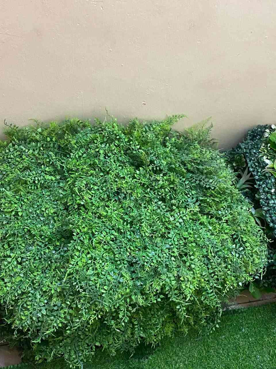 السلام عليكم زرع صناعي نظيف جدا مصارلة كم شهر من سويتة ١٨ قطعة القطعة ب٦ الف 
وارضية مقطعة على مترقطعتين  ومتر ونص قطعتين اربعتهن ب٢٠ الف  مكاني بغداد الجديدة ***********
