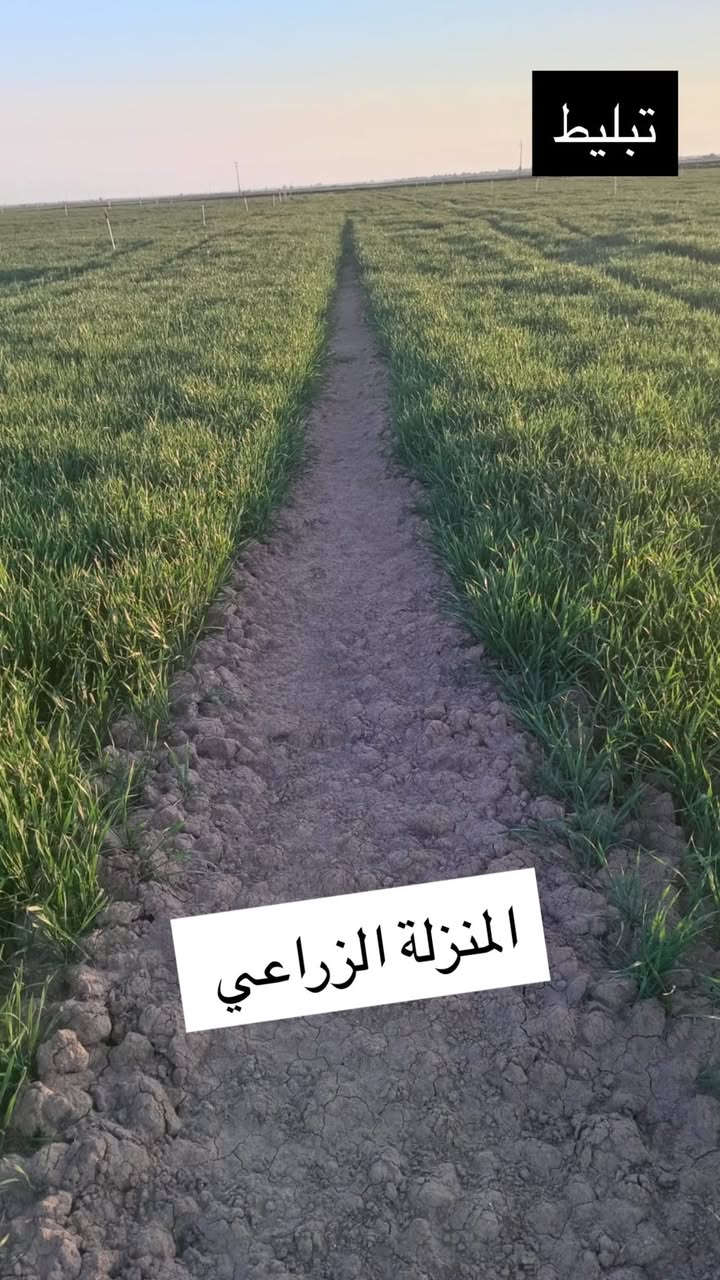 لا أدغال بعد اليوم مع السيلفر 💪🌱

قوة فعّالة في القضاء على الأدغال المزعجة

نتائج سريعة وحماية لمحصولك بإذن

📍 مكتب المنزلة الزراعي

كركوك – الحويجة

الفلاح اسماعيل 

قرية عزبوز 

تاريخ اليوم

@الجميع


**إذا كنت صاحب هذا الإعلان وتريد حذفه لأي سبب، رجاءا أرسل رسالة إلى الدعم الفني**