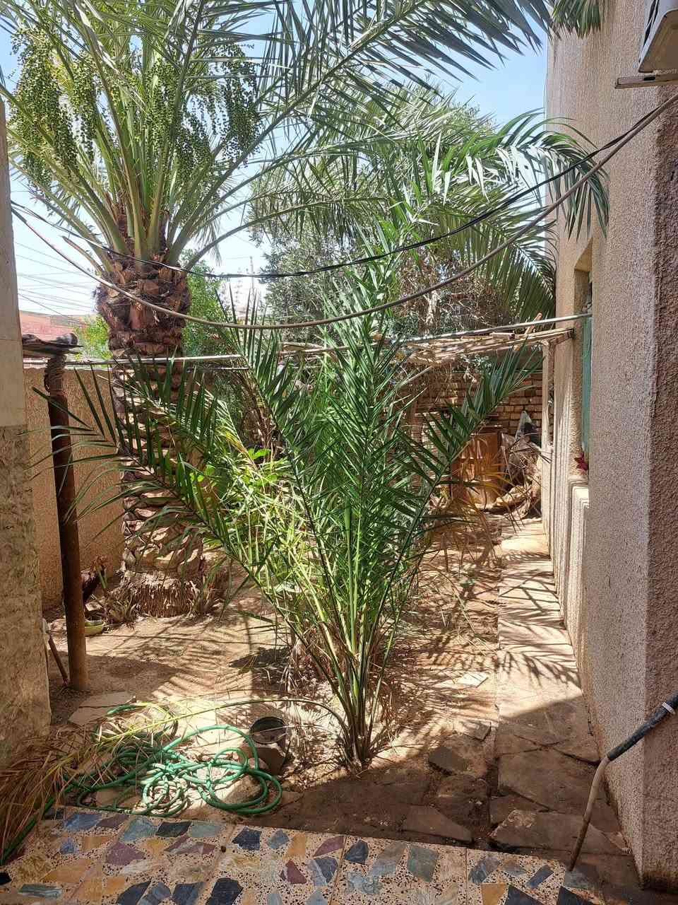 دار للبيع (طابقين) 🏠
متاح الآن منزل متكامل للسكن الفوري 
​✅ المساحة الكلية: 250 م.
✅ عدد الطوابق: طابقين.
✅ السعر 290
ملاحظه الطابق الاول يحتوى على 
طرمه كبيره وحديقه 
ودوانيه وستقبال ومطبخ 
وغرف نوم عدد 2 ومناور عدد 2 
وصحيات داخلي وخارجي وكلدور  
الطابق الثاني يحتوى على دوانيه وستقبال ومطبخ وصحيات وغرف نوم عدد 2 غير كاملات 
✅الطابق الثاني غير مسكون فيه من سنة التشيد الدرج خارجي وداخلي وباب منفصل وحده
​  "للاستفسار يرجى الاتصال"].
***********
📍 العنوان: [ حي المعلمين الجديد].
