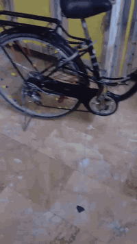 بايسكل بناتي حجم ٢٦ ما مستعمل هواي سعره ١٠٠ الف للاستفسار التواصل على الرقم واتساب 
***********

مكاني بغداد منطقة الشماعيه
