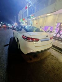 اوبتيما ٢٠١٧ • وارد امريكي • قضاء علي الغربي