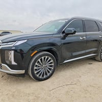 باليسايد • ٢٠٢٤ • مزاد