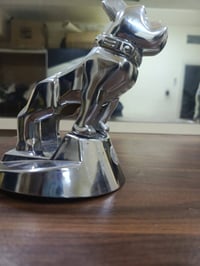 بولدوج • المرادة بغداد