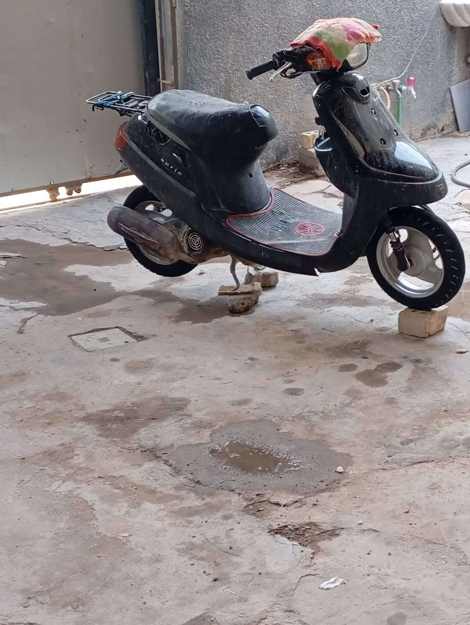 قره الكتابه وطب للمنشور سلام عليكم دراجه بطه للبيع دراجه نضيفه بس صالي شهرين تاركه طافيه دراجه غرضه كله كامله كله من ال أ لل يشكو شي مامشدود موجود شوف الصوره قبل لافصخه موجوده شوف نصبته سعر 100وبيه مجال حك الجيه هاذه رقمي ***********
