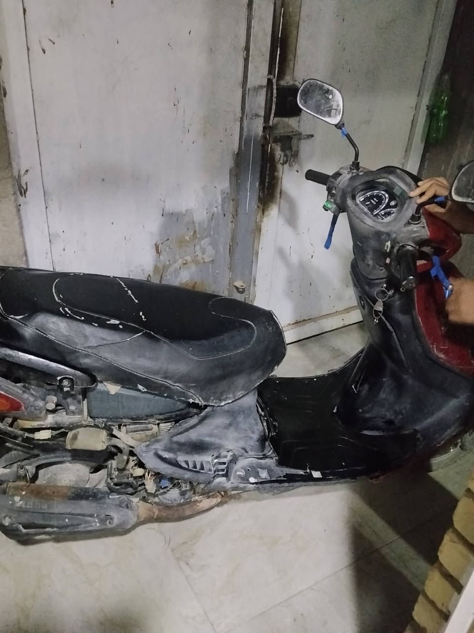 السلام عليكم ورحمه الله من رخصة الادمن دراجة دولفين هل كدامكم صورتها الدراجه مجفته وعايزها بس كفرات كفرات وبس الدراجه تشتغل سلف بس اني شالعه باتريها جديد هندر واحد تشتغل رايدها ب 250وبيها مجال حك الجيه المكان النجف حي النداء


**إذا كنت صاحب هذا الإعلان وتريد حذفه لأي سبب، رجاءا أرسل رسالة إلى الدعم الفني**