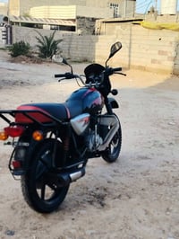 بوكسر جبلي • موديل ٢٠٢٣ • أوراق كاملة