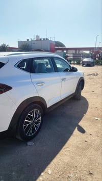 توسان • ٢٠١٩ • النجف