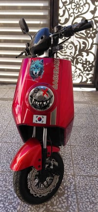 دراجة شحن • ٦ بطاريات • كير ٣ نمر