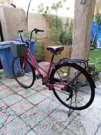 بناتي حجم 27 باسكل ياباني سلة امامية قفل تاير كير 6 نمر سيباية عضمية ب...