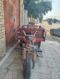 ستوته • بدون وراق • تواير جدد