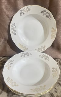 ٦صحون • ٢٥سم • مختوم