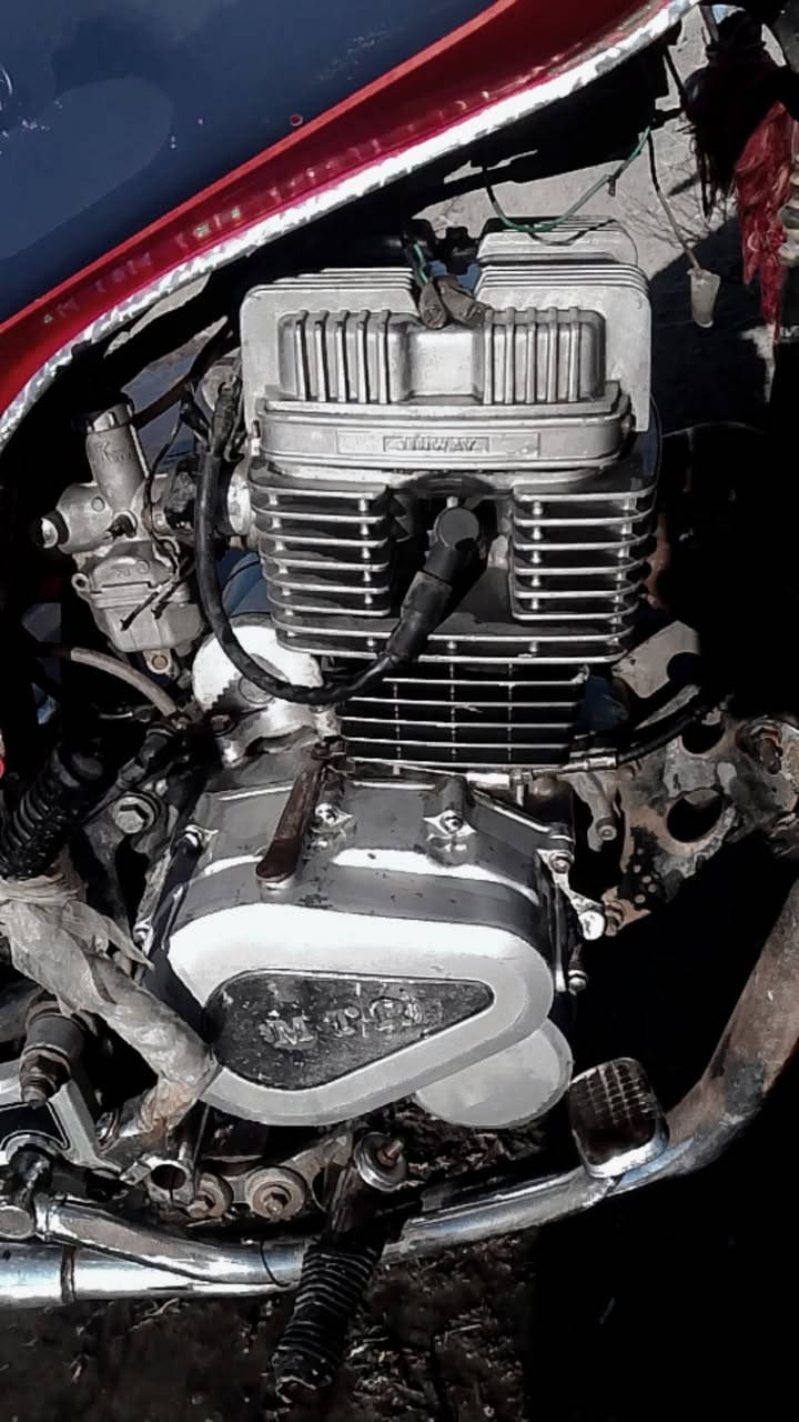 دراجه جونده للبيع مكان ديوانيه عفك السعر خاص ترهم مراوس تصال***********،،،،،،،،،،***********
