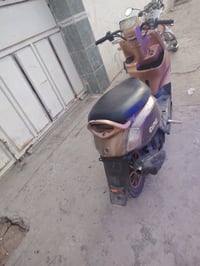 بولس • للبيع • بي مجال