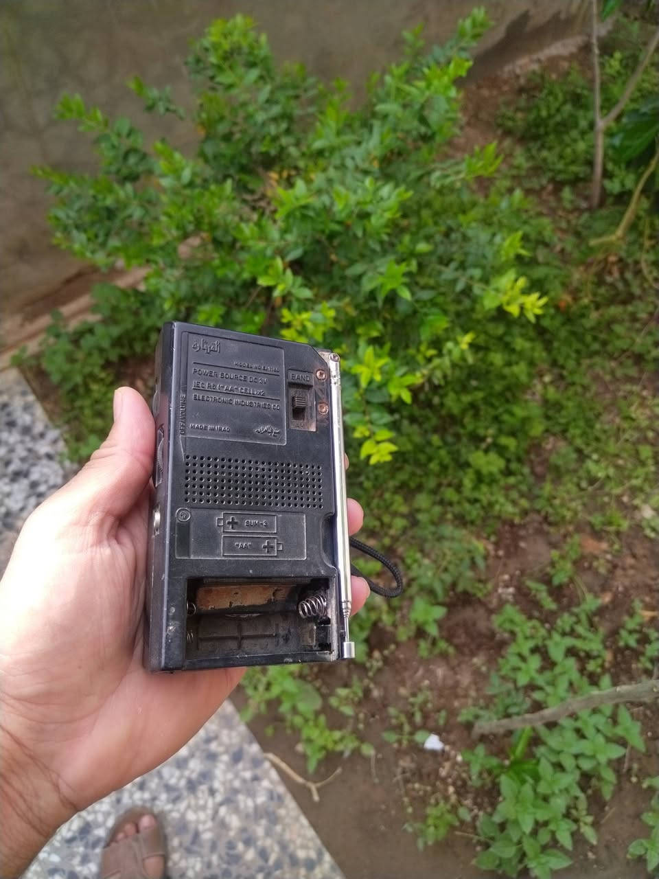 راديو 📻 قيثاره عدد ثنين للبيع قيم وبخدمتك


**إذا كنت صاحب هذا الإعلان وتريد حذفه لأي سبب، رجاءا أرسل رسالة إلى الدعم الفني**