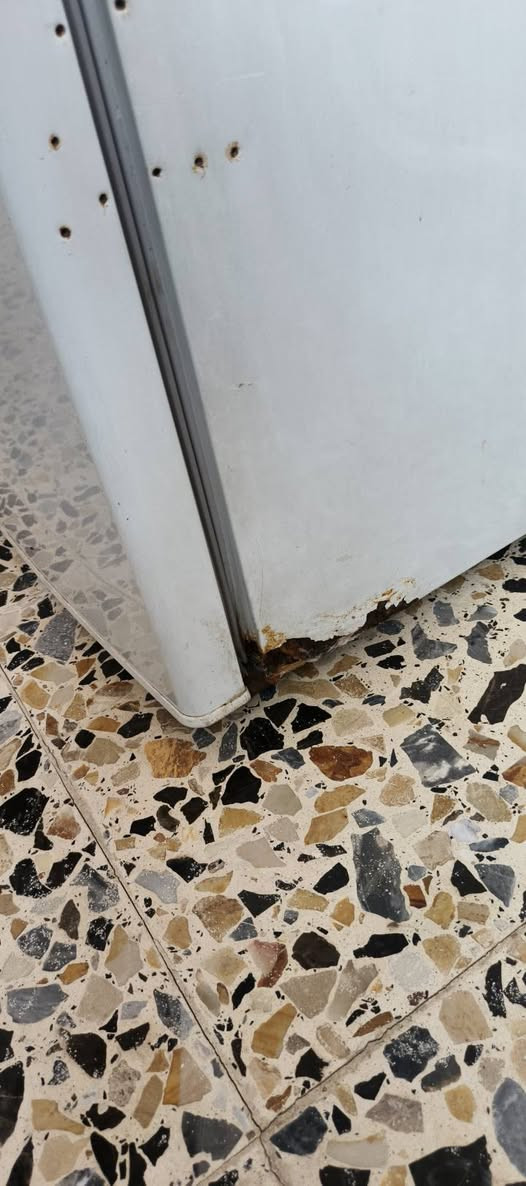 ثلاجه شرط الشغل بس بيها خياسات جوه... سعرها


**إذا كنت صاحب هذا الإعلان وتريد حذفه لأي سبب، رجاءا أرسل رسالة إلى الدعم الفني**