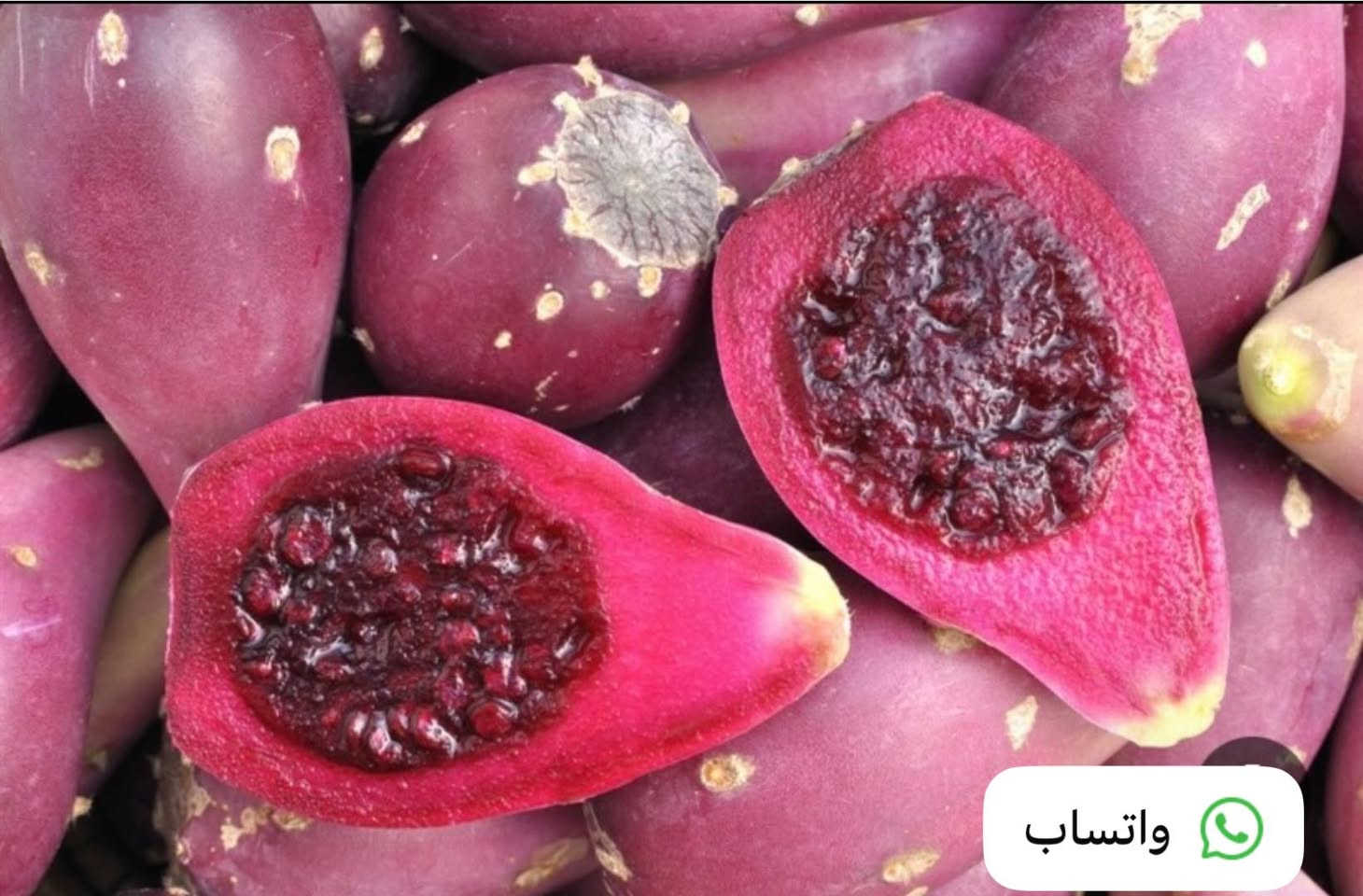 🌵 يوجد لدينا كفوف التين الشوكي العراقي 🇮🇶الأحمر 🌵🔴

✅ كف مثمر:4,000 دينار
(بدون سندانة)

✅ كف بدون ثمار:3,000دينار
(بدون سندانة)

❗️كمية محدودة ❗️

🚚 التوصيل إلى جميع محافظات العراق: 4,000 دينار🛑 فقط 🚚

🌵 Prickly Pear - التين الشوكي 🌵


**إذا كنت صاحب هذا الإعلان وتريد حذفه لأي سبب، رجاءا أرسل رسالة إلى الدعم الفني**