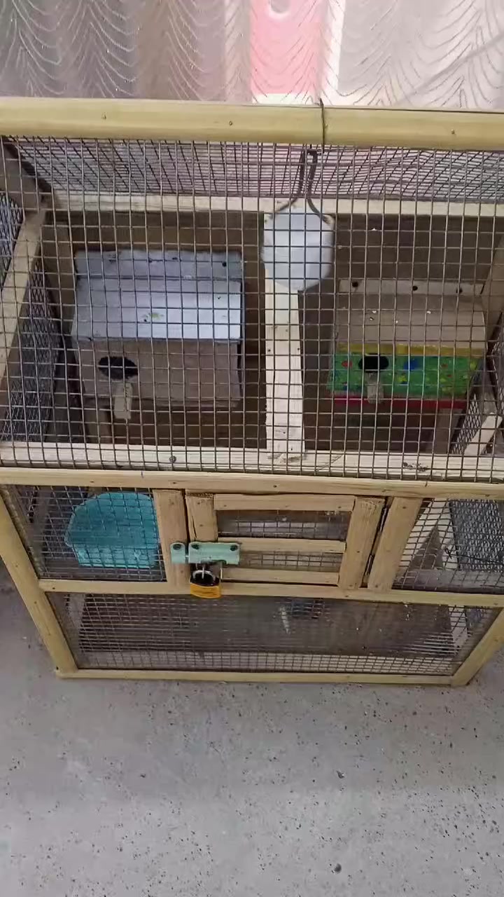 متاح قفص الطول 60 والعرض 40 والرتفاع 50 سيم اصلي ملاحضه اذا اكو اراوس مثل هاي الخانه


**إذا كنت صاحب هذا الإعلان وتريد حذفه لأي سبب، رجاءا أرسل رسالة إلى الدعم الفني**