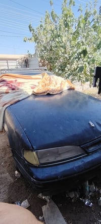 دايو برنس • البصرة • سنوية منتهية