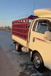 كاسحه • للبيع • خاص