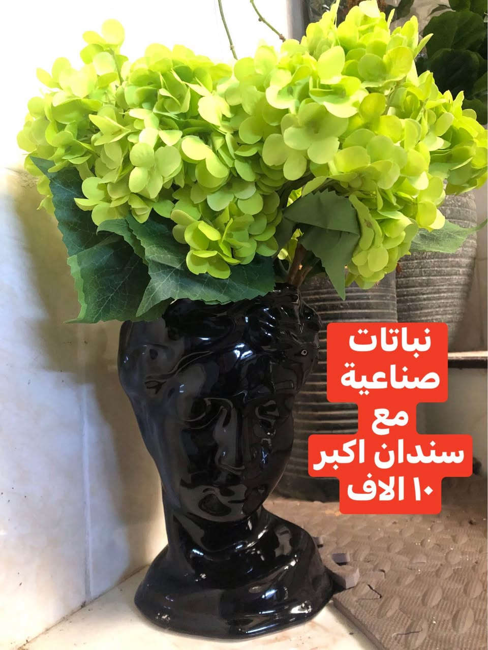 نباتات صناعية وديكورات
السعر على الصور
سعر الكل معا ٧٥ الف قفل
العنوان اربيل روشنبيري أربيل, العراق


**إذا كنت صاحب هذا الإعلان وتريد حذفه لأي سبب، رجاءا أرسل رسالة إلى الدعم الفني**