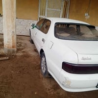 كرسته • شطره • ورقه