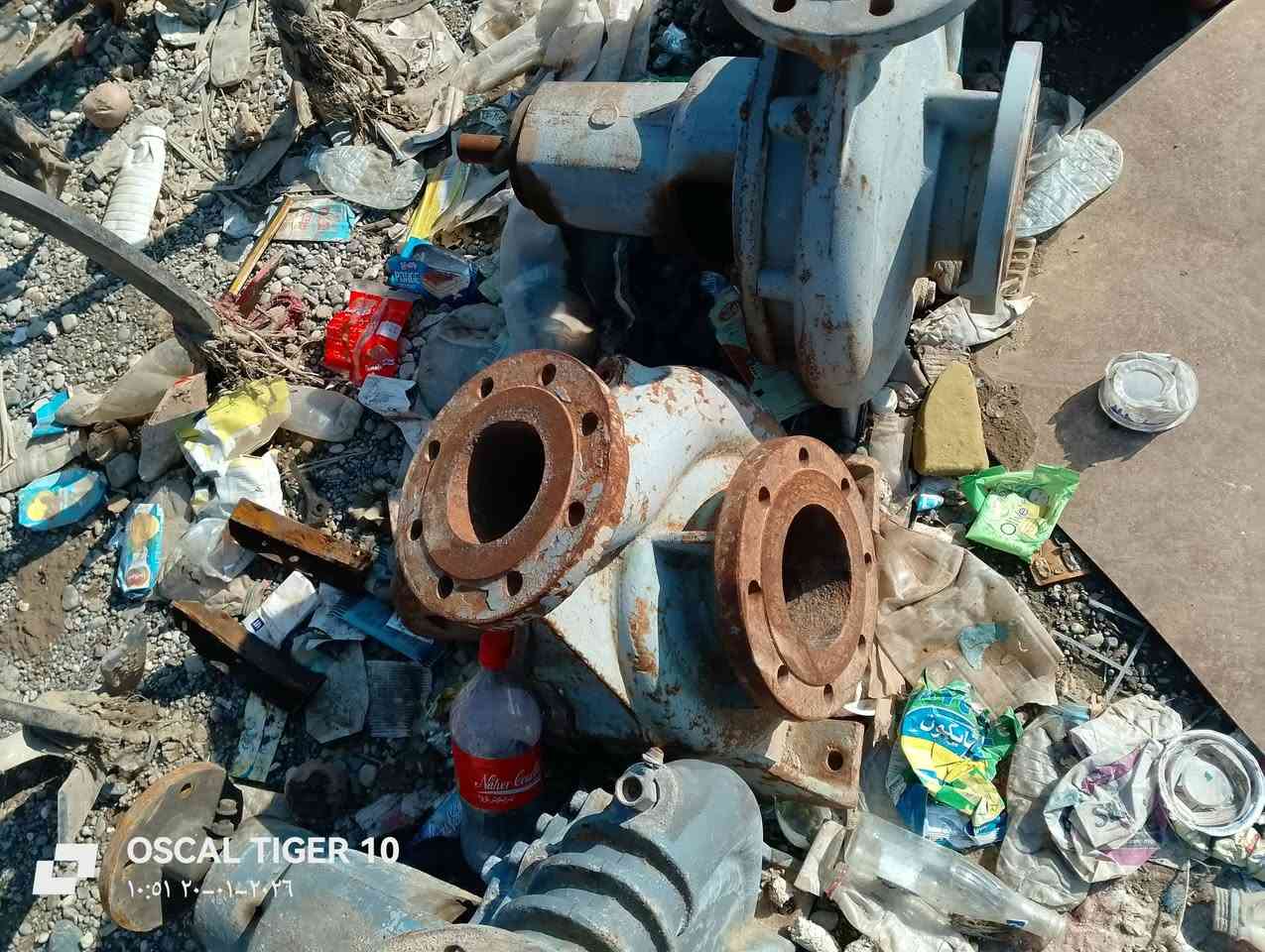 السلام عليكم خنزيرات للبيع كلشي مابيه المكان جنوب الموصل حمام عليل ***********==***********
