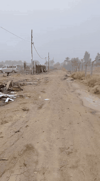 السلام عليكم يوجد الفين 2000متر  طابو زراعي الوجهه 20متر النزال 100متر 
قريه البوعبدالله قرب الامام عون  (عليهم السلام) توجد بيها كافه الخدامات كهرباء ماء اساله تبعد عن الشارع الرئيسي 300متر  بسمي تحويل مباشر  ***********   /
