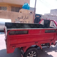 ستوتة • ستوتة للبيع • ستوتة 2021 • ستوتة فحل • ستوته جديده