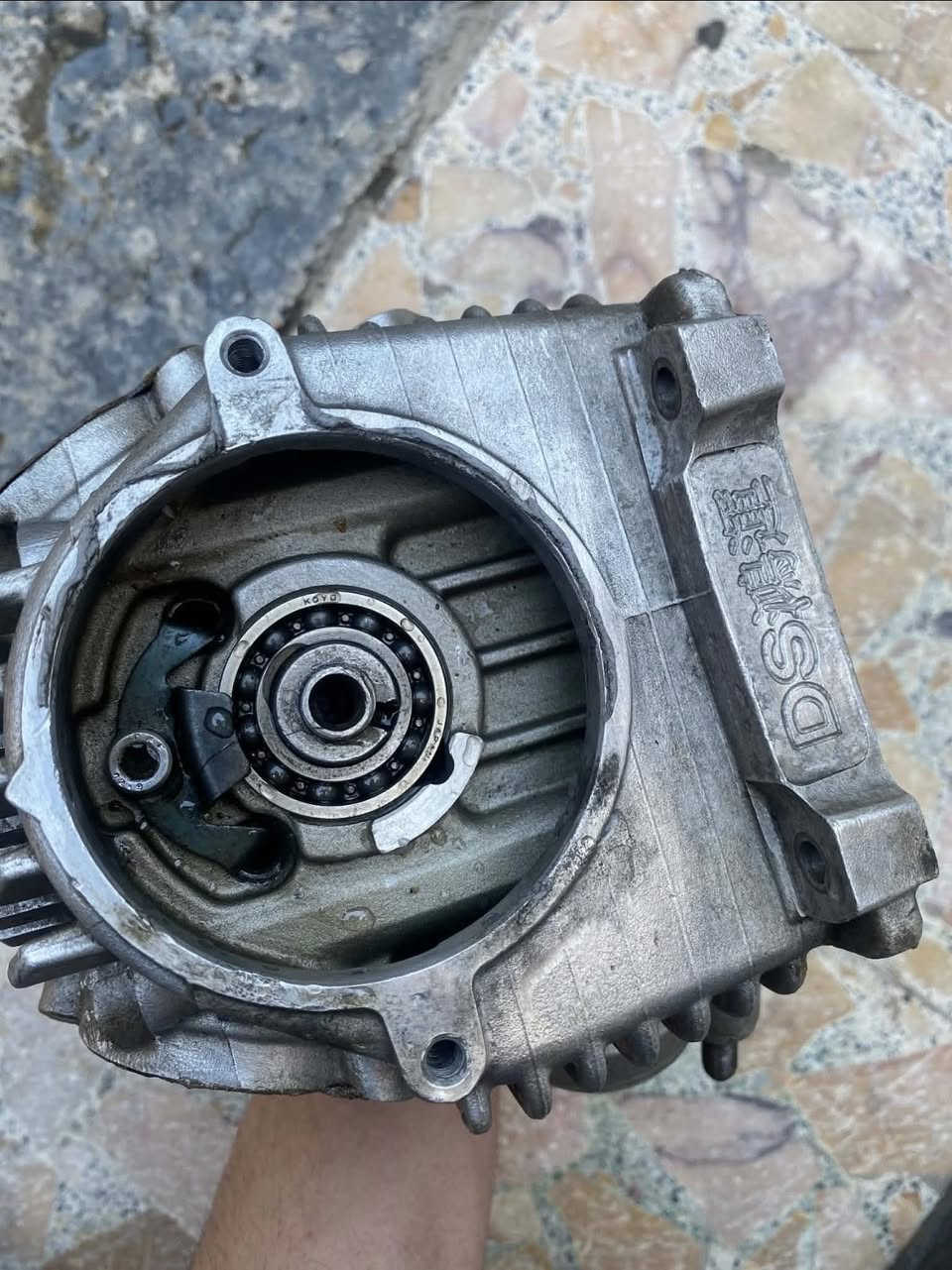 كور DSحجرته 66 ولفات اربعته جيسو كام شفت DSكور مكفول من كلشي سعر خاص توصيل موجود


**إذا كنت صاحب هذا الإعلان وتريد حذفه لأي سبب، رجاءا أرسل رسالة إلى الدعم الفني**