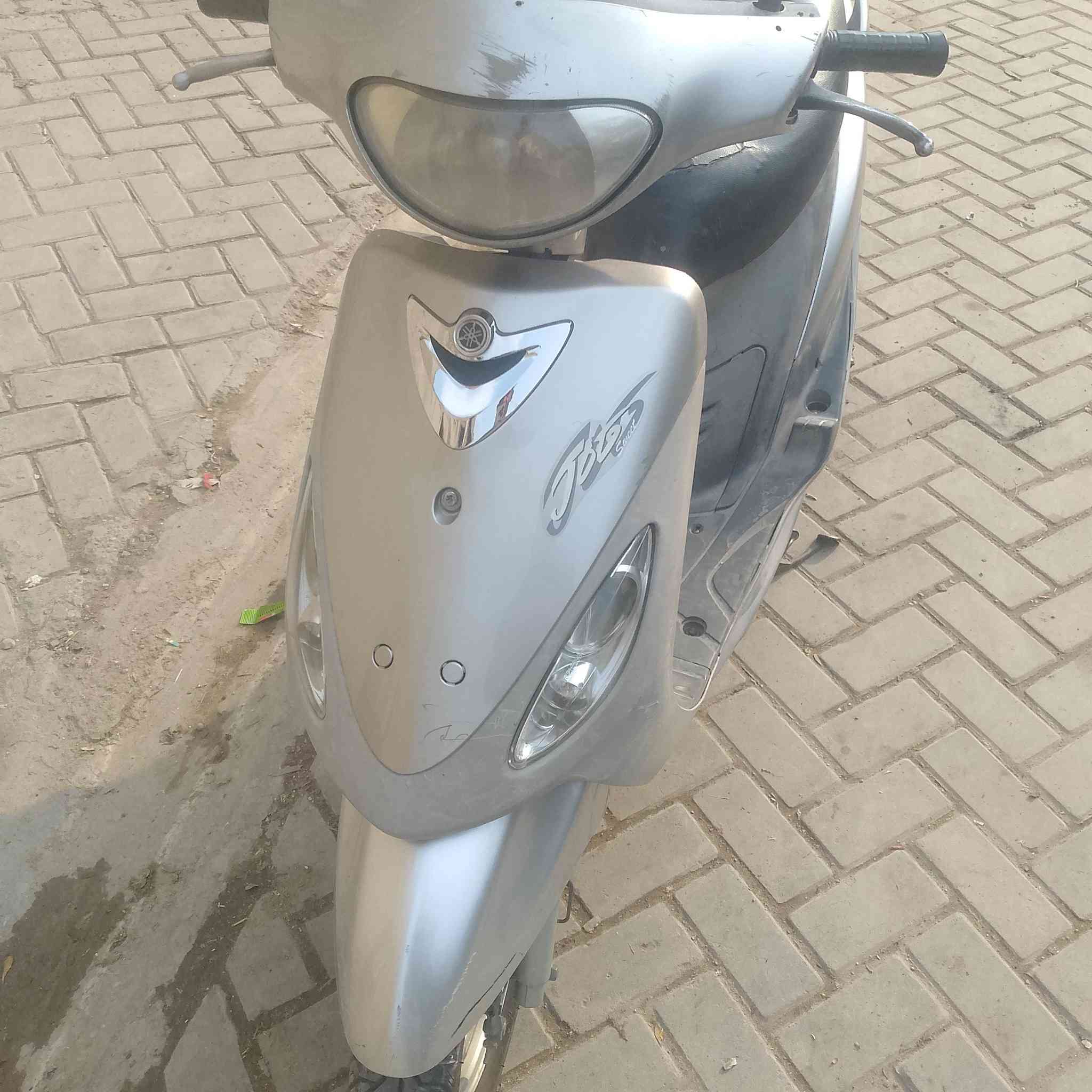 السلام عليكم منغولي للبيع الشراي يتصل ‏‪***********‬‏
