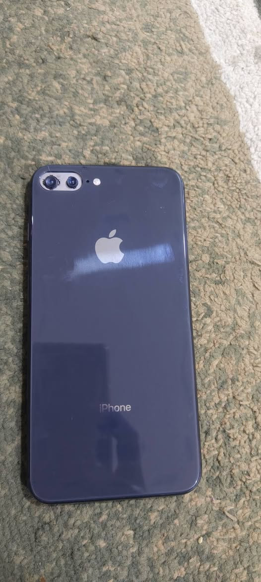 ايفون 8 بلص ذاكره 256 كلشي شغال بي يرادله صيانه كامرات فقط سعر 80 الف مكاني حله شارع 80 طريق النجف


**إذا كنت صاحب هذا الإعلان وتريد حذفه لأي سبب، رجاءا أرسل رسالة إلى الدعم الفني**
