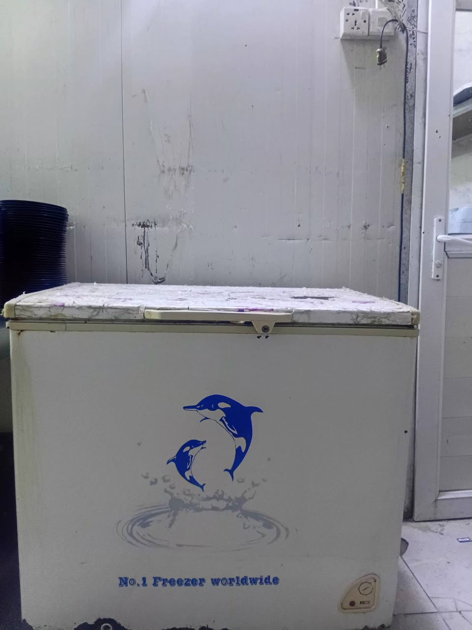 سلام عليكم مجمدات شغالات عداد ٣ و عارضه عاموديه مال تفريغه مطعم مكان بغداد الاعضمية اسفسار ***********
