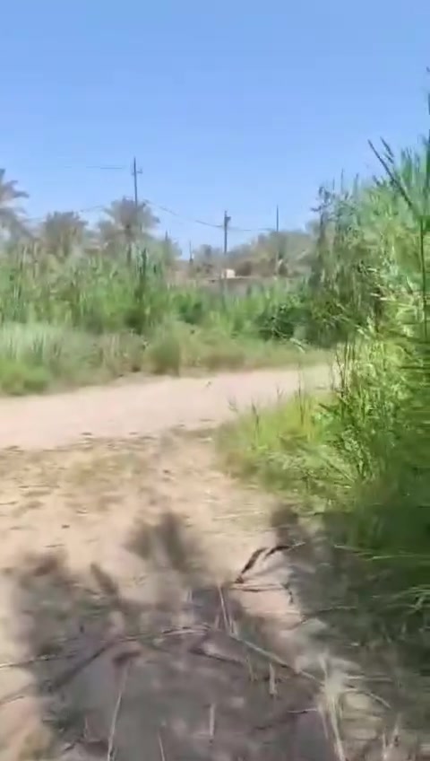 سلام عليكم توفر 5ونص دونم
طابو سند 25 سند منفرد بسم شخص واحد تحويل مباشر مع صاحب لارض موقع الارض كربلاء  منطقه السياحي مباشر ع شارع تبليط كل خدمات متوفر مي سقي سيح كهرباء
خط مولد كلشي متوفر صالحه السكن ونتباع بلكامل سعر مناسب اي ستفسار اتصل وتدلل خوان ملاحضه عنده بطعه بيت بستان للبيع يتواصل وياي ويدلل انبيعه اله 
تحياتي الكم اخوكم حيدر الكربلائي الوسيط العقاري
***********
***********
