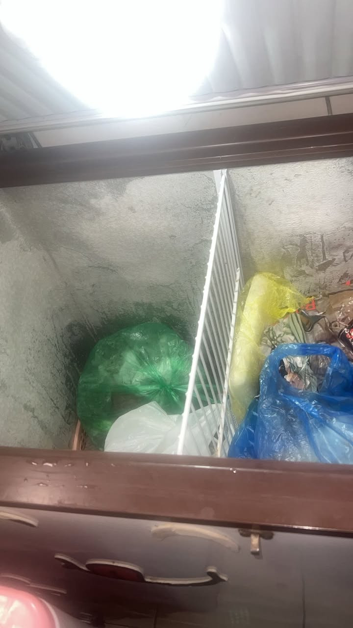 تخم نظيف ب350 مجمده ب125 سريرب60


**إذا كنت صاحب هذا الإعلان وتريد حذفه لأي سبب، رجاءا أرسل رسالة إلى الدعم الفني**