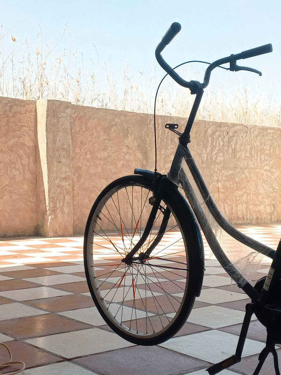 سلام عليكم ورحمه الله وبركاته باسكل للبيع موشم جديد النضافة واضحة موديل 24 كامل مكمل حجم 26 المكان بابل الحله لاستفسار


**إذا كنت صاحب هذا الإعلان وتريد حذفه لأي سبب، رجاءا أرسل رسالة إلى الدعم الفني**