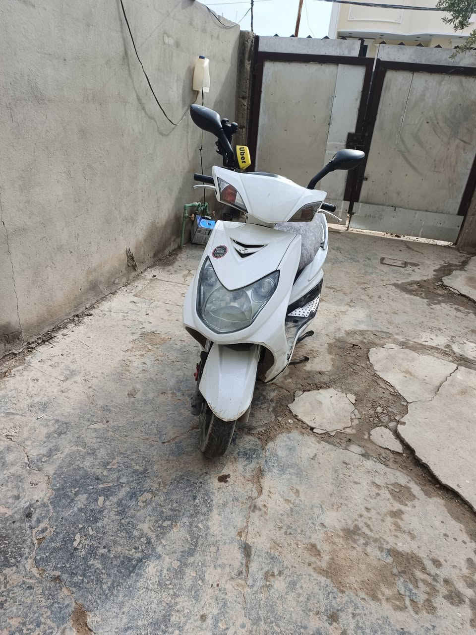 سلام وعليكم سكنس فحل للبيع شغاله نكره بكل وكت اشاير دبل اشاره كلهه شغالي *********** المكان بغداد محموديه
