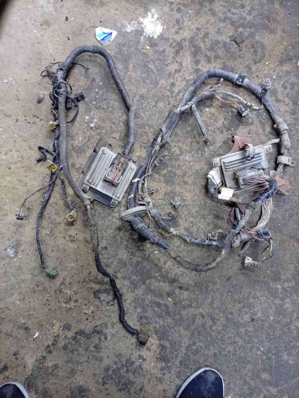 سلام عليكم مرخصة مدير الكروب عقول بيكم دير وبيكم كنو مع ضفاير نضاف .
السعر خاص.
غير متواجد على فيس بوك رجاء.
الرقم بي واتساب متواجد.***********
 عنوان بغداد مدينه الصدر
