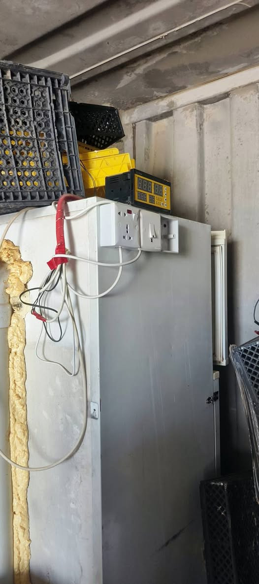 السلام عليكم فقاسه للبيع شقاله شرط وشرط التفقيص السعر 250وبيها مجال9666 562 0772 متواجد خاص


**إذا كنت صاحب هذا الإعلان وتريد حذفه لأي سبب، رجاءا أرسل رسالة إلى الدعم الفني**