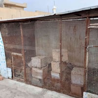 قفص • ديكور