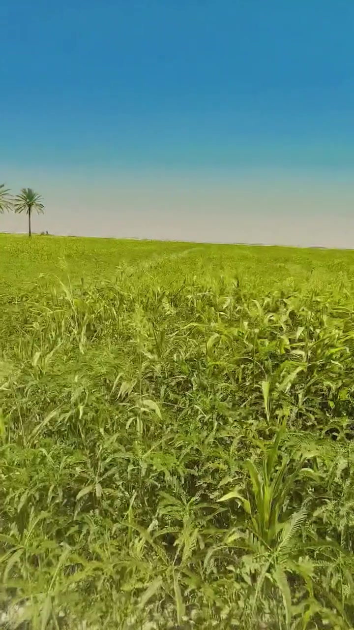 ارض زراعيه للبيع 10 دونم يوجد بيه ماء سقي صيفآ وشتاء مطله على المالح ( نهر القائد ) يوجد بيه ماء غسول في الصيف وشتاء المكان حله جبله فرع الامام شاخه 4 الاتصال على الرقم ***********
