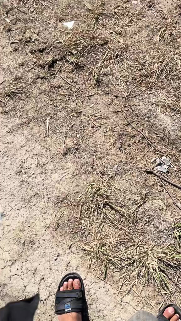 كلشي فقط مجاري ماكو
🔴وجه 5    نزال20
والسعر 17وبي مجال
📞للاستفسار الاتصال***********
